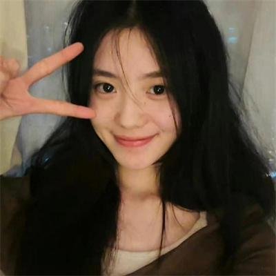 来自收容所的爱